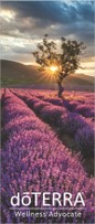 RollUp "Eco" Lavendel mit Baum