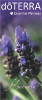 RollUp "Eco" Lavendel