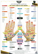 TABLEAU DES POINTS RÉFLEXES POUR LES PIEDS ET LES MAINS