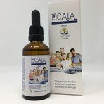 ECAIA Drops 